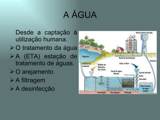 A ÁGUA
  Desde a captação á
  utilização humana.
 O tratamento da água
 A (ETA) estação de
  tratamento de águas.
 O arejamento
 A filtragem
 A desinfecção
 