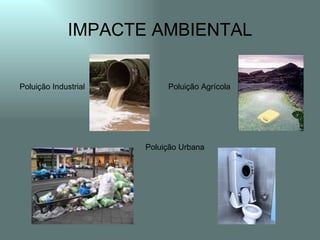 IMPACTE AMBIENTAL


Poluição Industrial        Poluição Agrícola




                      Poluição Urbana
 
