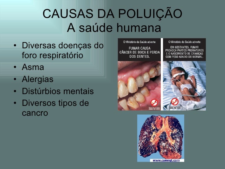 O que são estágios e para que servem? O que são estágios e para que servem?