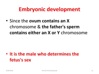 Embryonic development
• Since the ovum contains an X
chromosome & the father's sperm
contains either an X or Y chromosome
• It is the male who determines the
fetus's sex
3/29/2018 12Prof.Dr.R.R.Deshpande
 