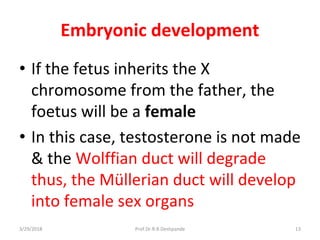 3/29/2018 Prof.Dr.R.R.Deshpande 13
Embryonic development
• If the fetus inherits the X
chromosome from the father, the
foetus will be a female
• In this case, testosterone is not made
& the Wolffian duct will degrade
thus, the Müllerian duct will develop
into female sex organs
 