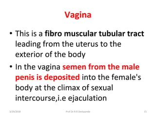 3/29/2018 Prof.Dr.R.R.Deshpande 15
Vagina
• This is a fibro muscular tubular tract
leading from the uterus to the
exterior of the body
• In the vagina semen from the male
penis is deposited into the female's
body at the climax of sexual
intercourse,i.e ejaculation
 