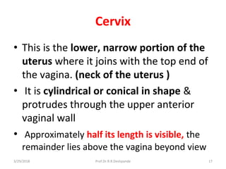 3/29/2018 Prof.Dr.R.R.Deshpande 17
Cervix
• This is the lower, narrow portion of the
uterus where it joins with the top end of
the vagina. (neck of the uterus )
• It is cylindrical or conical in shape &
protrudes through the upper anterior
vaginal wall
• Approximately half its length is visible, the
remainder lies above the vagina beyond view
 