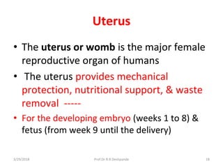 3/29/2018 Prof.Dr.R.R.Deshpande 18
Uterus
• The uterus or womb is the major female
reproductive organ of humans
• The uterus provides mechanical
protection, nutritional support, & waste
removal -----
• For the developing embryo (weeks 1 to 8) &
fetus (from week 9 until the delivery)
 
