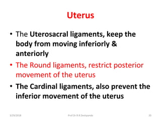 3/29/2018 Prof.Dr.R.R.Deshpande 20
Uterus
• The Uterosacral ligaments, keep the
body from moving inferiorly &
anteriorly
• The Round ligaments, restrict posterior
movement of the uterus
• The Cardinal ligaments, also prevent the
inferior movement of the uterus
 