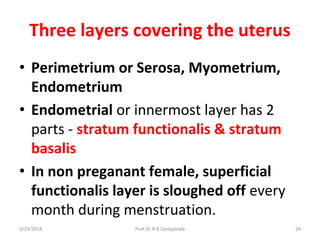 3/29/2018 Prof.Dr.R.R.Deshpande 24
Three layers covering the uterus
• Perimetrium or Serosa, Myometrium,
Endometrium
• Endometrial or innermost layer has 2
parts - stratum functionalis & stratum
basalis
• In non preganant female, superficial
functionalis layer is sloughed off every
month during menstruation.
 