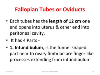 3/29/2018 Prof.Dr.R.R.Deshpande 32
Fallopian Tubes or Oviducts
• Each tubes has the length of 12 cm one
end opens into uterus & other end into
peritoneal cavity.
• It has 4 Parts -
• 1. Infundibulum, is the funnel shaped
part near to ovary fimbriae are finger like
processes extending from infundibulum
 
