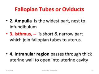 3/29/2018 Prof.Dr.R.R.Deshpande 33
Fallopian Tubes or Oviducts
• 2. Ampulla is the widest part, nest to
infundibulum
• 3. Isthmus, -- is short & narrow part
which join fallopian tubes to uterus
• 4. Intranular region passes through thick
uterine wall to open into uterine cavity
 