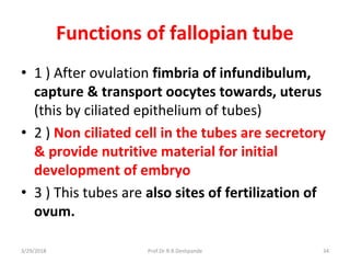 3/29/2018 Prof.Dr.R.R.Deshpande 34
Functions of fallopian tube
• 1 ) After ovulation fimbria of infundibulum,
capture & transport oocytes towards, uterus
(this by ciliated epithelium of tubes)
• 2 ) Non ciliated cell in the tubes are secretory
& provide nutritive material for initial
development of embryo
• 3 ) This tubes are also sites of fertilization of
ovum.
 