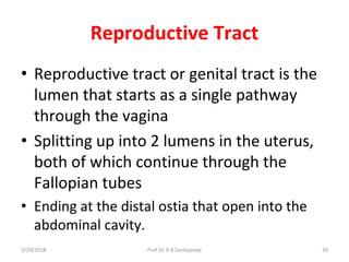 3/29/2018 Prof.Dr.R.R.Deshpande 39
Reproductive Tract
• Reproductive tract or genital tract is the
lumen that starts as a single pathway
through the vagina
• Splitting up into 2 lumens in the uterus,
both of which continue through the
Fallopian tubes
• Ending at the distal ostia that open into the
abdominal cavity.
 