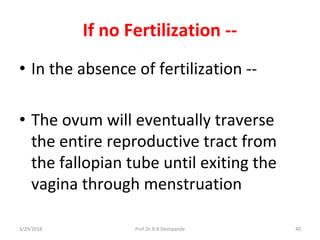 3/29/2018 Prof.Dr.R.R.Deshpande 40
If no Fertilization --
• In the absence of fertilization --
• The ovum will eventually traverse
the entire reproductive tract from
the fallopian tube until exiting the
vagina through menstruation
 