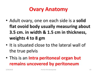 3/29/2018 Prof.Dr.R.R.Deshpande 43
Ovary Anatomy
• Adult ovary, one on each side is a solid
flat ovoid body usually measuring about
3.5 cm. in width & 1.5 cm in thickness,
weights 4 to 8 gm
• It is situated close to the lateral wall of
the true pelvis
• This is an Intra peritoneal organ but
remains uncovered by peritoneum
 