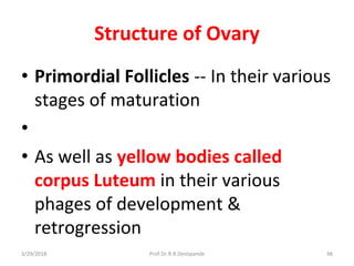 3/29/2018 Prof.Dr.R.R.Deshpande 48
Structure of Ovary
• Primordial Follicles -- In their various
stages of maturation
•
• As well as yellow bodies called
corpus Luteum in their various
phages of development &
retrogression
 