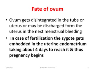 3/29/2018 Prof.Dr.R.R.Deshpande 53
Fate of ovum
• Ovum gets disintegrated in the tube or
uterus or may be discharged form the
uterus in the next menstrual bleeding
• In case of fertilization the zygote gets
embedded in the uterine endometrium
taking about 4 days to reach it & thus
pregnancy begins
 