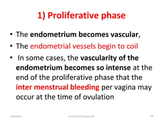 3/29/2018 Prof.Dr.R.R.Deshpande 59
1) Proliferative phase
• The endometrium becomes vascular,
• The endometrial vessels begin to coil
• In some cases, the vascularity of the
endometrium becomes so intense at the
end of the proliferative phase that the
inter menstrual bleeding per vagina may
occur at the time of ovulation
 