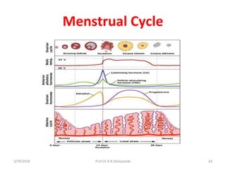 Menstrual Cycle
3/29/2018 Prof.Dr.R.R.Deshpande 64
 