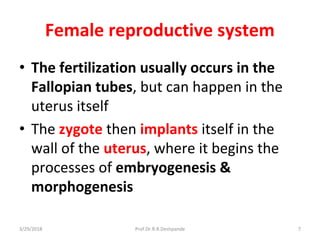 3/29/2018 Prof.Dr.R.R.Deshpande 7
Female reproductive system
• The fertilization usually occurs in the
Fallopian tubes, but can happen in the
uterus itself
• The zygote then implants itself in the
wall of the uterus, where it begins the
processes of embryogenesis &
morphogenesis
 