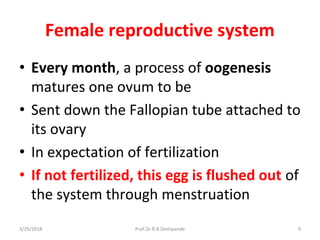 3/29/2018 Prof.Dr.R.R.Deshpande 9
Female reproductive system
• Every month, a process of oogenesis
matures one ovum to be
• Sent down the Fallopian tube attached to
its ovary
• In expectation of fertilization
• If not fertilized, this egg is flushed out of
the system through menstruation
 