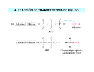 4. REACCIÓN DE TRANSFERENCIA DE GRUPO
 
