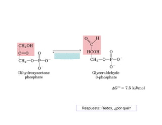 Respuesta: Redox, ¿por qué?
 