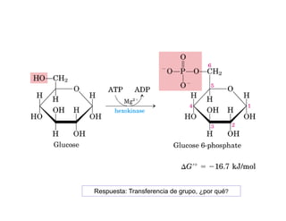 Respuesta: Transferencia de grupo, ¿por qué?
 