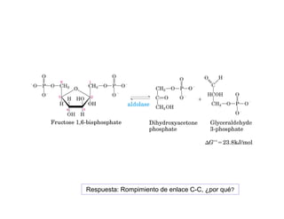 Respuesta: Rompimiento de enlace C-C, ¿por qué?
 