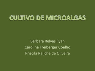 Bárbara Relvas Ílyan
Carolina Freiberger Coelho
Priscila Raijche de Oliveira
 