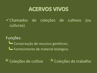 Chamados de coleções de cultivos (ou
culturas).
Funções:
Conservação de recursos genéticos;
Fornecimento de material biológico.
Coleções de cultivo Coleções de trabalho
 
