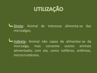 Direta: Animal de interesse alimenta-se das
microalgas;
Indireta: Animal não capaz de alimentar-se da
microalga, mas consome outros animais
alimentados com ela, como rotíferos, artêmias,
microcrustáceos.
 