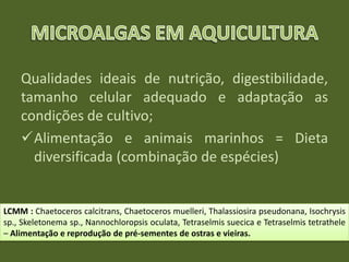 Qualidades ideais de nutrição, digestibilidade,
tamanho celular adequado e adaptação as
condições de cultivo;
Alimentação e animais marinhos = Dieta
diversificada (combinação de espécies)
LCMM : Chaetoceros calcitrans, Chaetoceros muelleri, Thalassiosira pseudonana, Isochrysis
sp., Skeletonema sp., Nannochloropsis oculata, Tetraselmis suecica e Tetraselmis tetrathele
– Alimentação e reprodução de pré-sementes de ostras e vieiras.
 