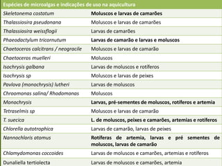 Espécies de microalgas e indicações de uso na aquicultura
Skeletonema costatum Moluscos e larvas de camarões
Thalassiosira pseudonana Moluscos e larvas de camarões
Thalassiosira weissflogii Larvas de camarões
Phaeodactylum tricornutum Larvas de camarão e larvas e moluscos
Chaetoceros calcitrans / neogracile Moluscos e larvas de camarão
Chaetoceros muelleri Moluscos
Isochrysis galbana Larvas de moluscos e rotíferos
Isochrysis sp Moluscos e larvas de peixes
Pavlova (monochrysis) lutheri Larvas de moluscos
Chroomonas salina/ Rhodomonas Moluscos
Monochrysis Larvas, pré-sementes de moluscos, rotíferos e artemia
Tetraselmis sp Moluscos e larvas de camarão
T. suecica L. de moluscos, peixes e camarões, artemias e rotíferos
Chlorella autotrophica Larvas de camarão, larvas de peixes
Nannochloris atomus Rotíferas de artemia, larvas e pré sementes de
moluscos, larvas de camarão
Chlamydomonas coccoides Larvas de moluscos e camarões, artemias e rotíferos
Dunaliella tertiolecta Larvas de moluscos e camarões, artemia
 