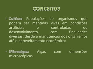 Populações de organismos que
podem ser mantidas vivas em condições
artificiais e controladas de
desenvolvimento, com finalidades
diversas, desde a manutenção dos organismos
até o aproveitamento econômico;
Algas com dimensões
microscópicas.
 