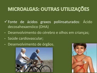 Fonte de ácidos graxos poliinsaturados: Ácido
decosahexaenóico (DHA)
- Desenvolvimento do cérebro e olhos em crianças;
- Saúde cardiovascular;
- Desenvolvimento de órgãos.
 