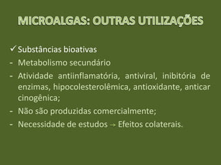 Substâncias bioativas
- Metabolismo secundário
- Atividade antiinflamatória, antiviral, inibitória de
enzimas, hipocolesterolêmica, antioxidante, anticar
cinogênica;
- Não são produzidas comercialmente;
- Necessidade de estudos Efeitos colaterais.
 