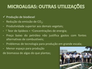  Produção de biodiesel
- Redução da emissão de CO2;
- Produtividade superior aos demais vegetais;
- Teor de lipídeos = Concentrações de energia;
- Preço baixo do petróleo não justifica gastos com fontes
alternativas de combustíveis;
- Problemas de tecnologia para produção em grande escala;
- Menor espaço para produção
de biomassa de algas do que plantas;
 