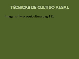 Imagens (livro aquicultura pag 111
 