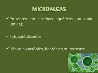 Presentes em sistemas aquáticos (ou zona
úmida);
Fotossintetizantes;
Hábito planctônico, bentônico ou terrestre.
 