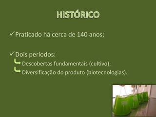 Praticado há cerca de 140 anos;
Dois períodos:
Descobertas fundamentais (cultivo);
Diversificação do produto (biotecnologias).
 