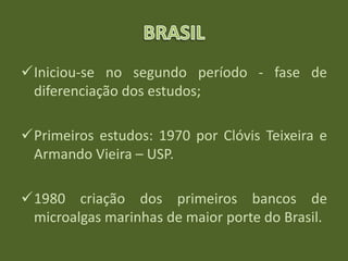 Iniciou-se no segundo período - fase de
diferenciação dos estudos;
Primeiros estudos: 1970 por Clóvis Teixeira e
Armando Vieira – USP.
1980 criação dos primeiros bancos de
microalgas marinhas de maior porte do Brasil.
 