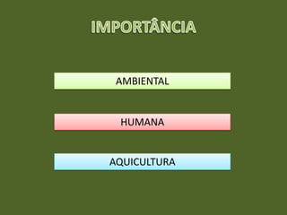 AMBIENTAL
HUMANA
AQUICULTURA
 