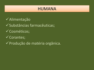 Alimentação
Substâncias farmacêuticas;
Cosméticos;
Corantes;
Produção de matéria orgânica.
HUMANA
 