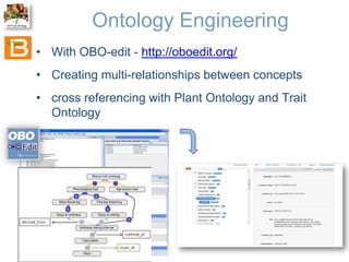 The Crop Ontology: a resource for enabling access to breeders’ data 