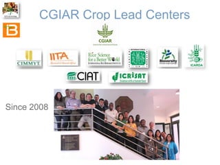 The Crop Ontology: a resource for enabling access to breeders’ data 