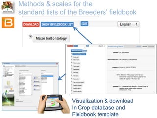 The Crop Ontology: a resource for enabling access to breeders’ data 