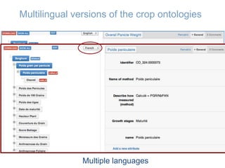 The Crop Ontology: a resource for enabling access to breeders’ data 