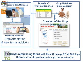 The Crop Ontology: a resource for enabling access to breeders’ data 