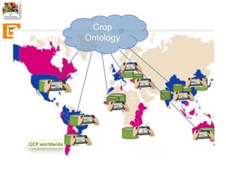 The Crop Ontology: a resource for enabling access to breeders’ data 