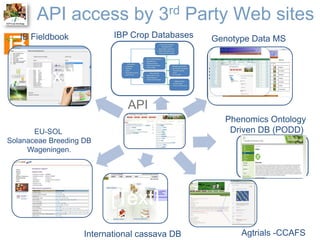 The Crop Ontology: a resource for enabling access to breeders’ data 
