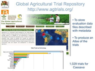 The Crop Ontology: a resource for enabling access to breeders’ data 