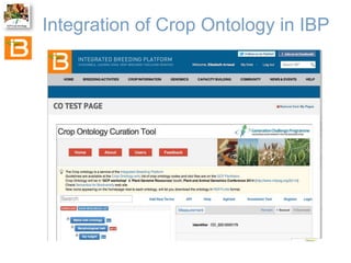 The Crop Ontology: a resource for enabling access to breeders’ data 